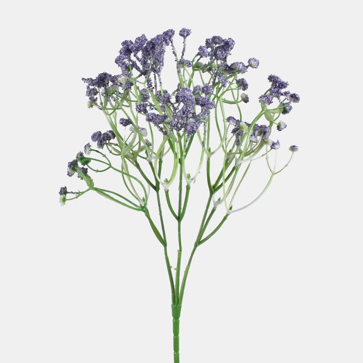 Gypsophila tekokukka liila
