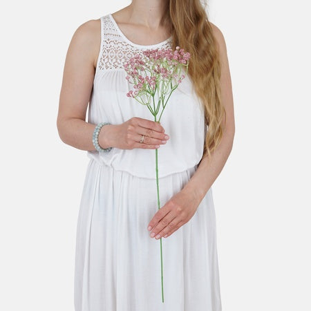 Gypsophila tekokukka sininen