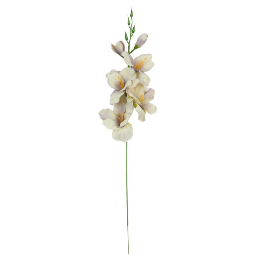 Gladiolus – tekokukka