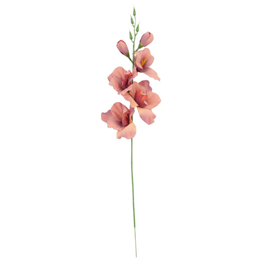 Gladiolus – tekokukka