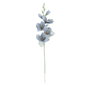Gladiolus – tekokukka
