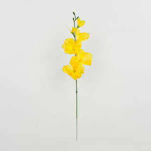 Gladiolus – tekokukka, 12 kpl
