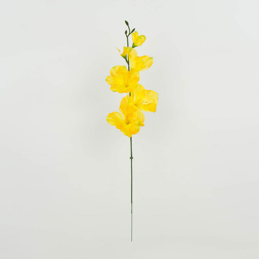 Gladiolus – tekokukka, 12 kpl