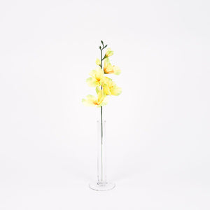 Gladiolus – tekokukka, 12 kpl