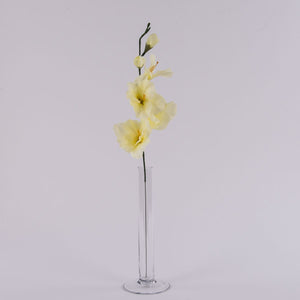 Gladiolus – tekokukka, 12 kpl