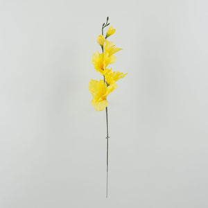 Gladiolus – tekokukka, 12 kpl