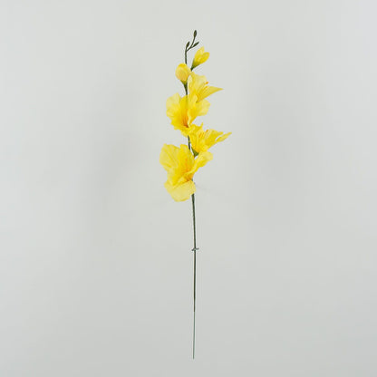 Gladiolus – tekokukka, 12 kpl