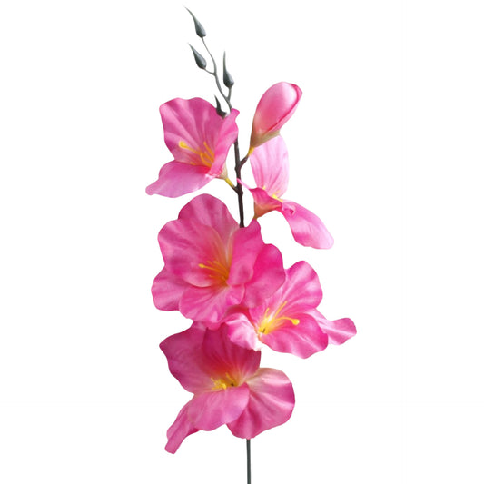 Gladiolus – tekokukka, 55 cm