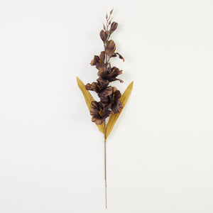 Gladiolus – tekokukka, 64 cm