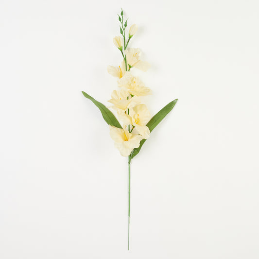 Gladiolus – tekokukka, satiini