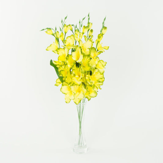 Gladiolus – tekokukka, satiini