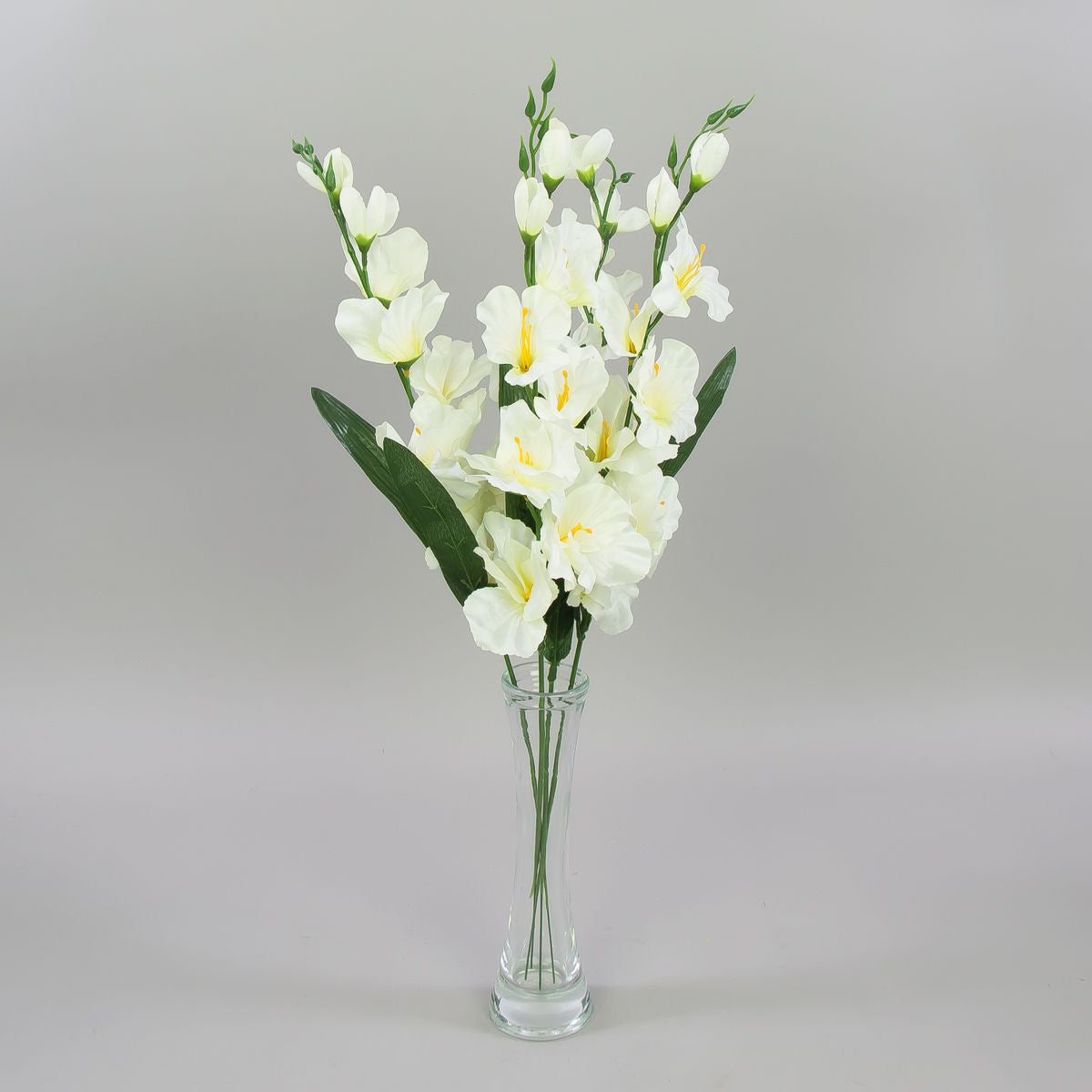 Gladiolus – tekokukka, satiini