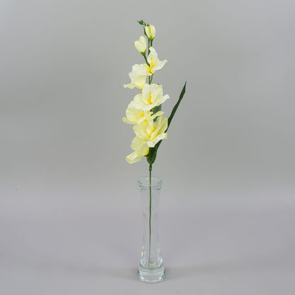 Gladiolus – tekokukka, satiini