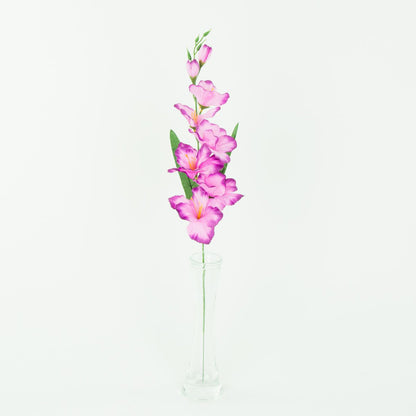 Gladiolus – tekokukka, satiini