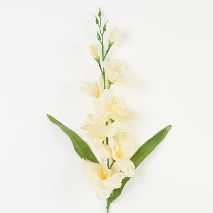 Gladiolus – tekokukka, satiini