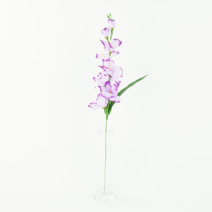 Gladiolus – tekokukka, satiini
