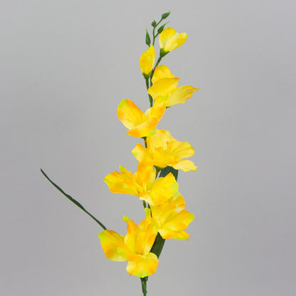 Gladiolus – tekokukka, satiini