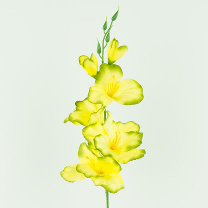 Gladiolus – tekokukka, satiini, 12 kpl