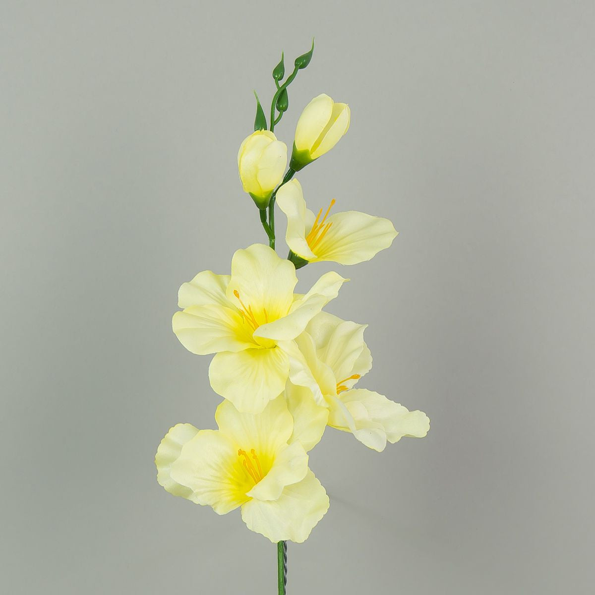Gladiolus – tekokukka, satiini, 12 kpl