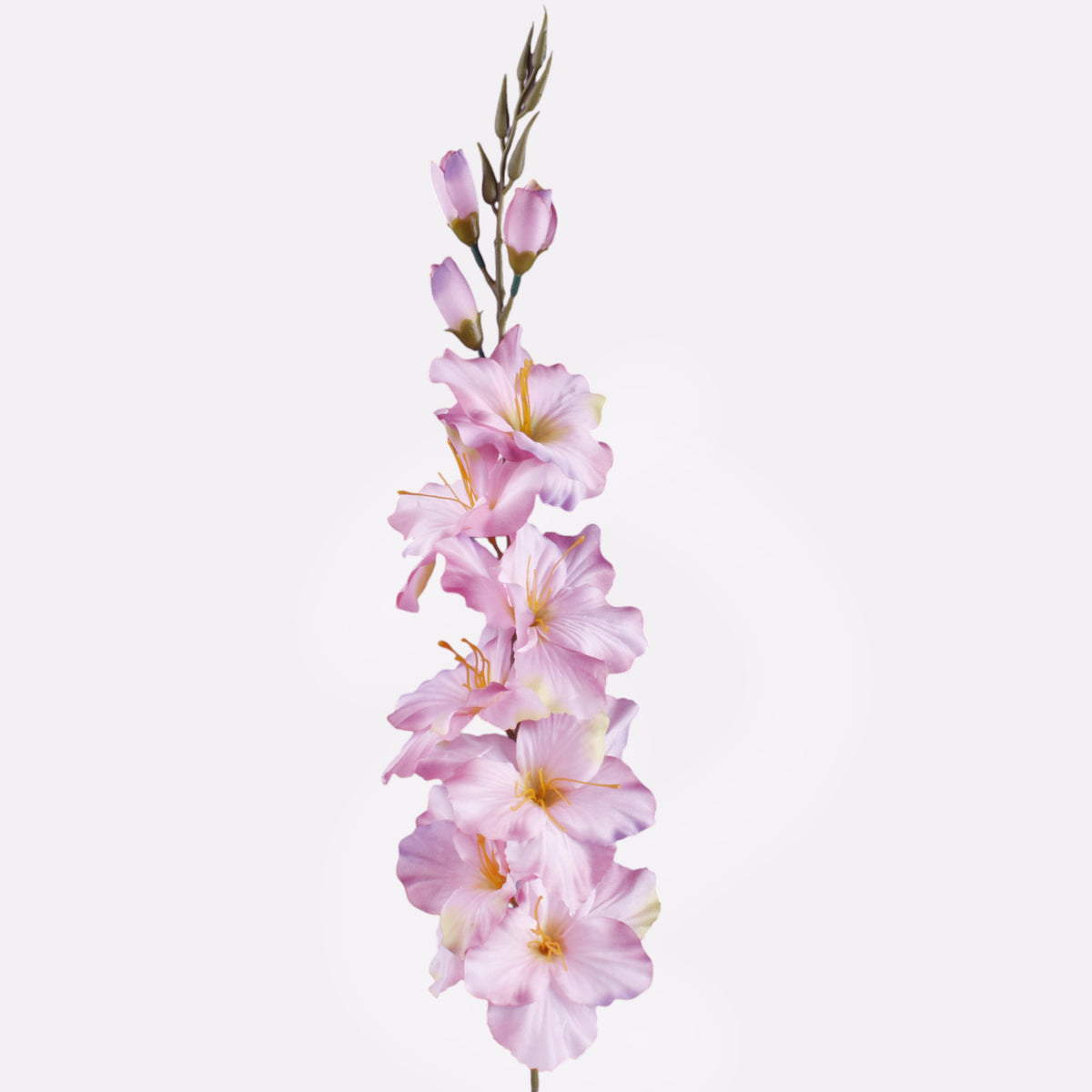 Gladiolus – tekokukka, satiini, 78 cm