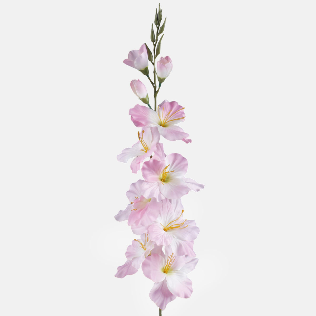 Gladiolus – tekokukka, satiini, 80 cm