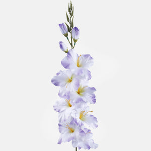 Gladiolus – tekokukka, satiini, 80 cm