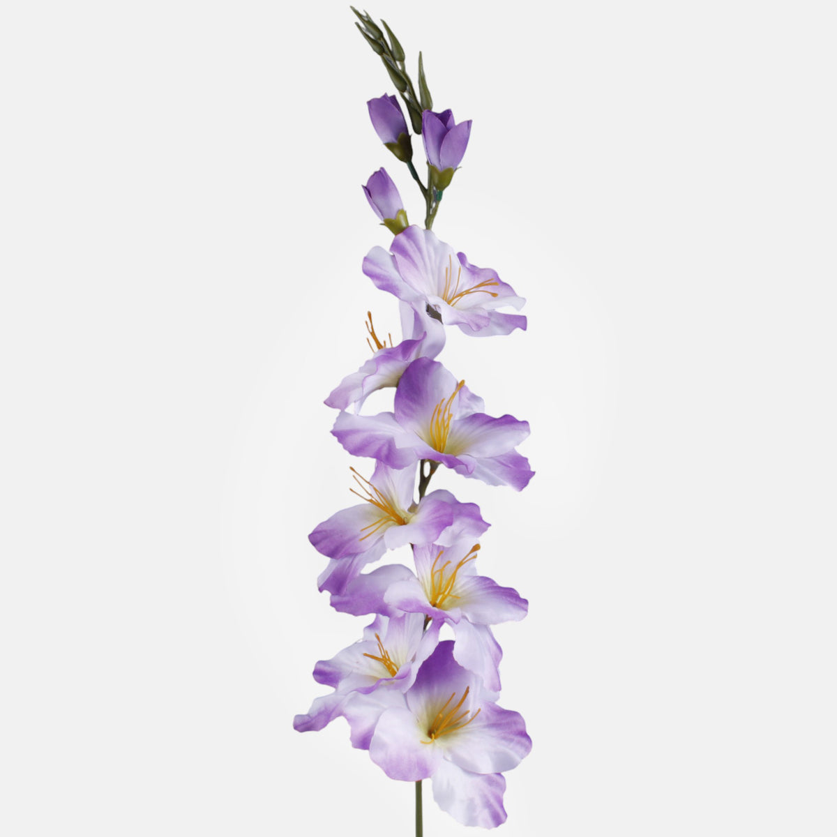 Gladiolus – tekokukka, satiini, 80 cm