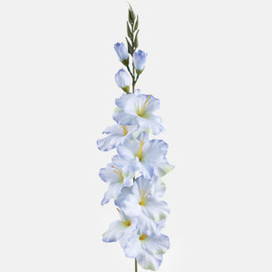 Gladiolus – tekokukka, satiini, 80 cm