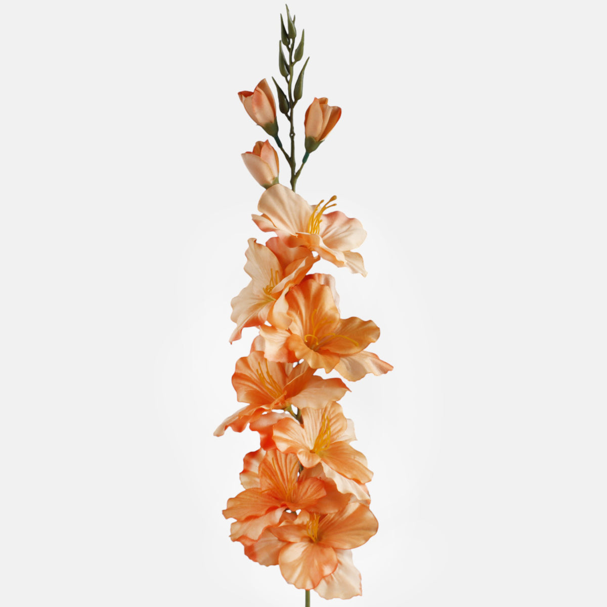 Gladiolus – tekokukka, satiini, 80 cm