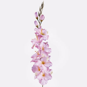 Gladiolus – tekokukka, satiini, 80 cm