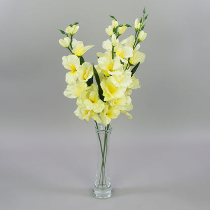 Gladiolus – tekokukka, satiini