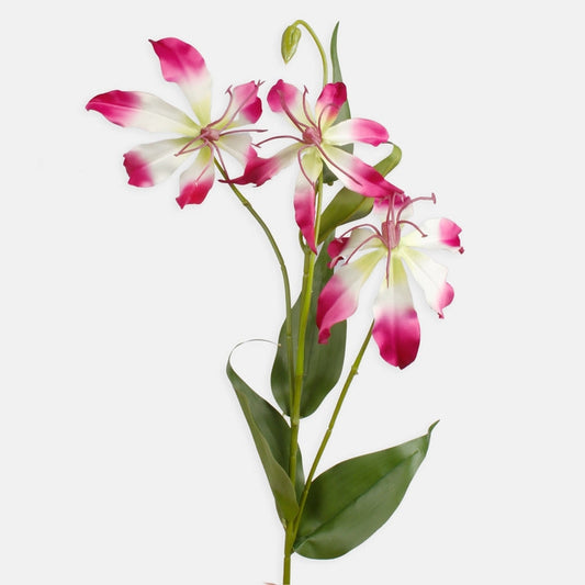 Gloriosa x 3 tekokukka purppura/kerma - Tekokukat.fi