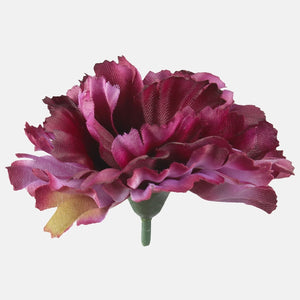 Dk. Violetti/Auumn Green Edge