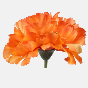 T.T. Orange/Autumn Green Edge