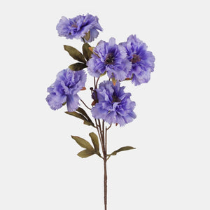 Violetti