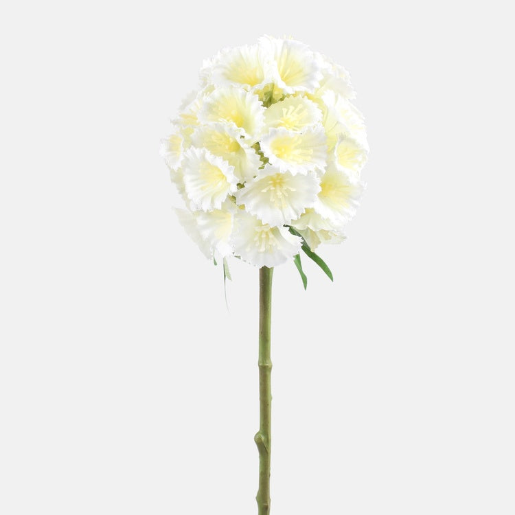 Viburnum lumipallo Kerma - Tekokukat.fi