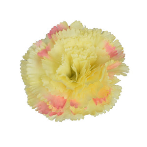 Vaaleanpunainen/keltainen