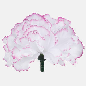 Valkoinen/violetti reuna