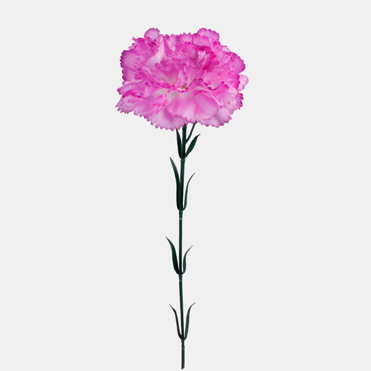 Neilikka tekokukka valkoinen/lila reuna - Tekokukat.fi