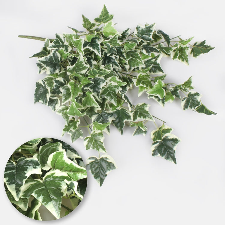 Harvinainen muratti - Tekokukat.fi