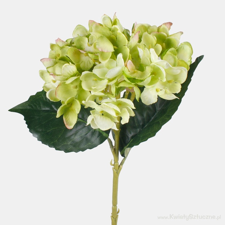 Hortensia yksi oksa tekokukka t.t. vihreä - Tekokukat.fi