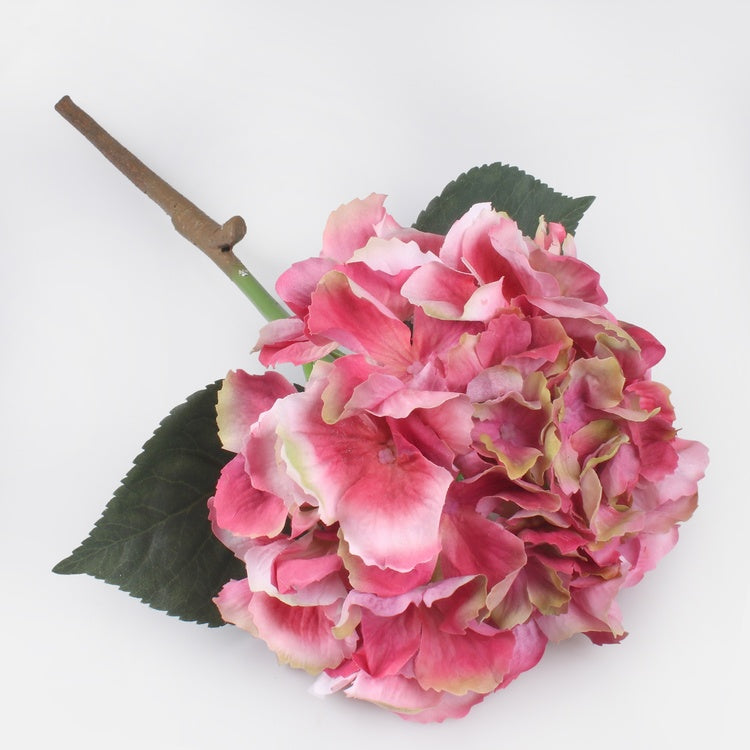 Kumitettu hortensia Beauty/Green Edge - Tekokukat.fi