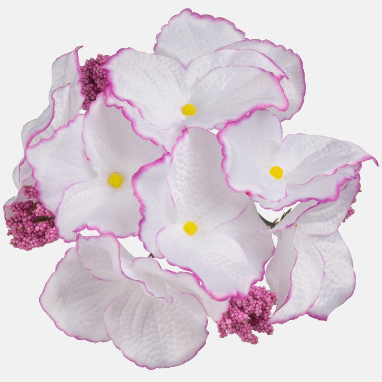 Kylvä hortensia Valkoinen/violetti reuna - Tekokukat.fi