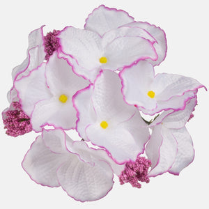 Valkoinen/violetti reuna