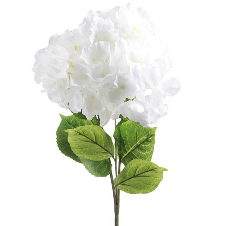 Hortensia x 5 Sekoita 1 - Tekokukat.fi