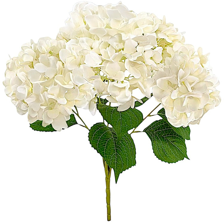 Hortensia x 5 Kerma - Tekokukat.fi