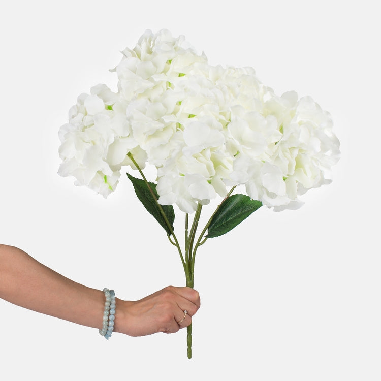 Hortensia x 5 Kerma - Tekokukat.fi