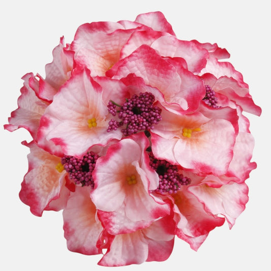 Hortensia Pinkki/Dk. Pinkki reuna - Tekokukat.fi