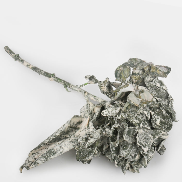 Hortensia tekokukka vihreä - Tekokukat.fi