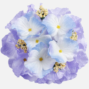 Luutnantti Blue/Lutn. Liila